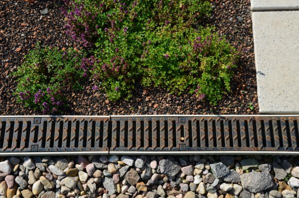 Cost of Yard Water Diversion in Paso Robles