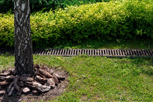 Wet Yard Drainage in Paso Robles
