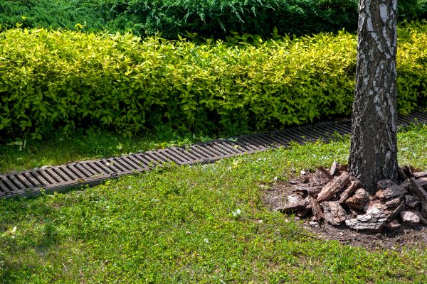 Residential Landscape Drainage in Paso Robles