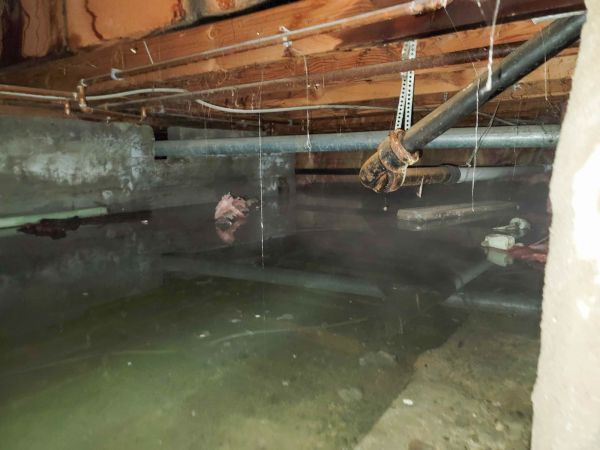 Cost of Crawlspace Drainage in Paso Robles
