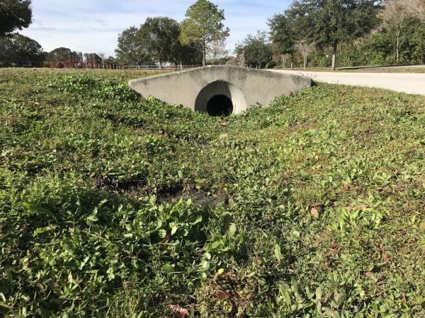 Cost of Swale Drainage Service in Paso Robles